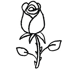 Hand drawn crayon outline of rose flower for Valentine's Day, kid colouring book, art, sketch, paint, plants, tree, floral print, nature, garden, sticker, blossom, blooming, spring, summer, house yard
