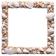 Obraz premium Seashell Frame Delicate Beach-Themed Border for Your Designs