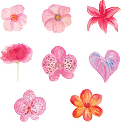 collection of flowers hand drawn