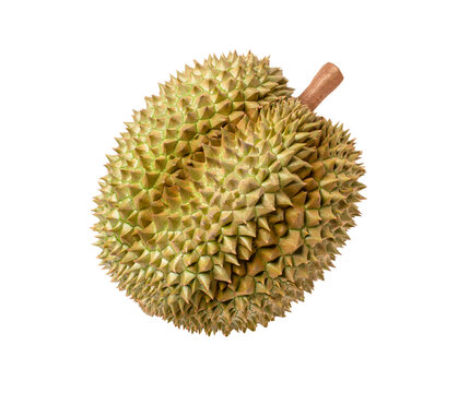 durian isolated on white background