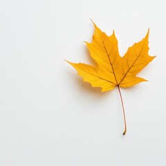 A vibrant yellow leaf resting on a clean white surface, showcasing autumn's beauty.