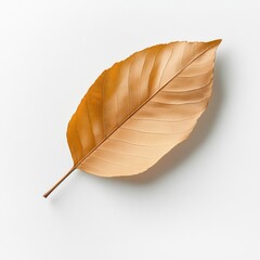 A visually striking golden leaf on a clean white background, symbolizing nature's beauty.