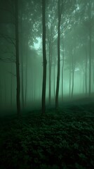 Obraz premium fog in the forest