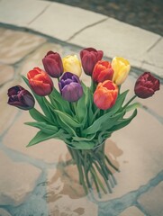 Colorful tulips in a vase