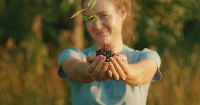 Smiling woman showing a small oak tree sapling held in both hands during sunny golden hour outdoors