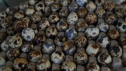 These eggs are small, have thin skin with brown spots, and have a savory taste and high nutritional content.