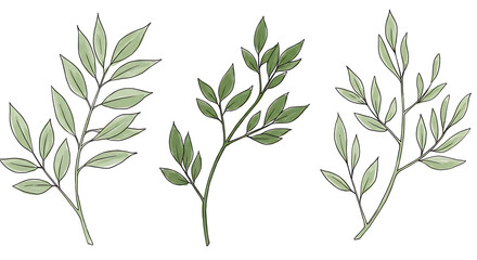 Naklejka premium Elegant Greenery Set Watercolor Botanical Illustrations of Leaves and Branches for Design
