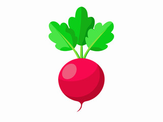 radish