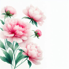 Gentle greeting card with pink peonies
