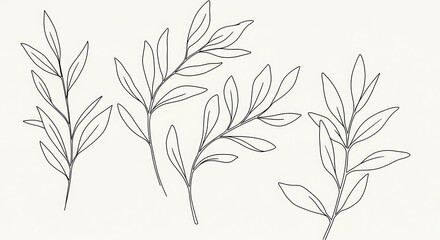 Elegant Minimalist Line Art Botanical Illustration Five Simple Leaf Branches