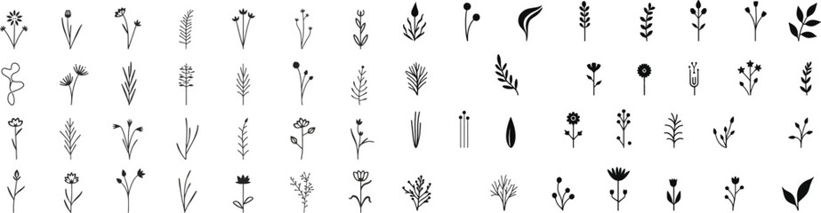 A set of black silhouettes of various floral patterns, including individual flowers, leaves, and intricate botanical elements.