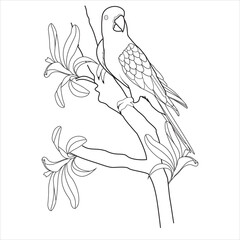 Line Art Parrot Perched on a Branch