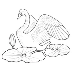 Beautiful duck illustration for coloring