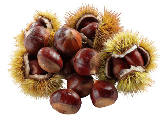 Cluster of shelled chestnuts isolated on transparency background, showcasing their rich brown color and unique texture. These delicious nuts evoke warmth and comfort, perfect for autumn dishes