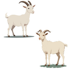 Fototapeta premium Rural Life Icons: Isolated Sheep and Goats Illustration