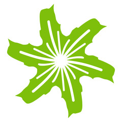 green christmas star flower