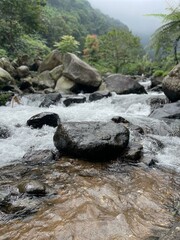 Crystal-clear river flowing over smooth rocks, framed by lush forest and misty mountain views.