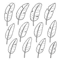 Seamless pattern of hand drawn banana leaves in black and white. Tropical foliage background.