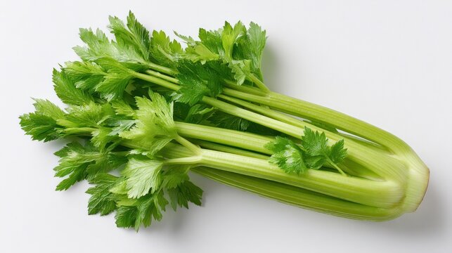 Bunch of fresh green celery stalks and leaves on a white background.