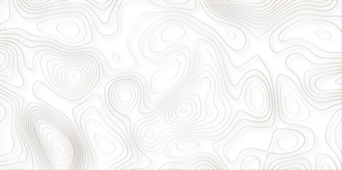 Abstract white golden Topographic line map background shadows. Contour elevation topographic and textured Background Modern design with White background with topographic wavy pate for decoration.	