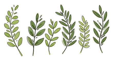 Fototapeta premium Hand drawn Green Botanical Illustrations Set of Six Delicate Watercolor Leaves Perfect for