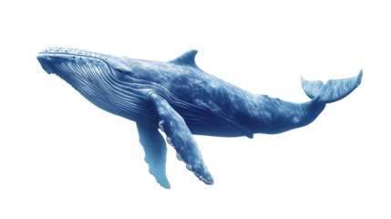 A large blue whale swimming majestically through the ocean,Transparent background, PNG file