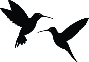 Obraz premium Two silhouette hummingbird birds are flying with their wings outstretched against a white backdrop