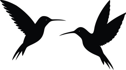 Fototapeta premium Two sleek hummingbird silhouettes face each other, poised midflight on a clean white backdrop