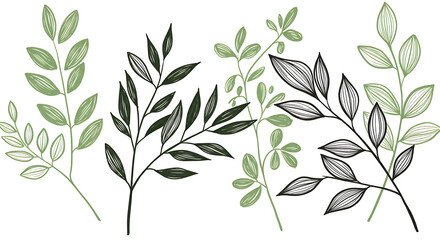Elegant Green and Black Botanical Illustration Hand Drawn Leaves and Branches Design Elements