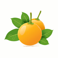 Cluster of Fresh Apricots with Leaves