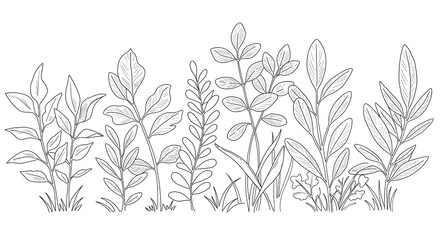 Elegant Line Art Botanical Illustration Diverse Foliage and Greenery Arrangement