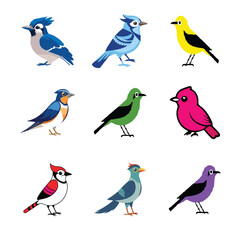 bird vector pics 2