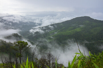 misty morning in the mountains