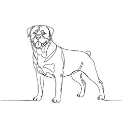 Obraz premium Rottweiler standing, line style minimalist PNG dog illustration on transparent background