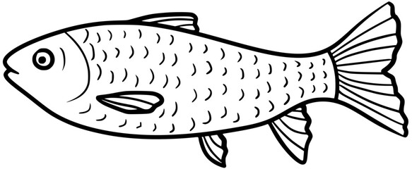 Grass Carp Vector Outline Line Art Drawing