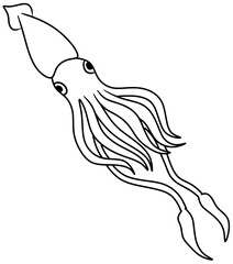 Giant Squid Vector Outline Line Art Drawing