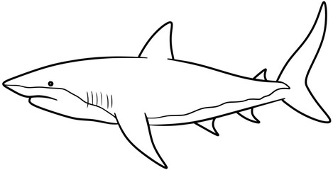 Galapagos Shark Vector Outline Line Art Drawing