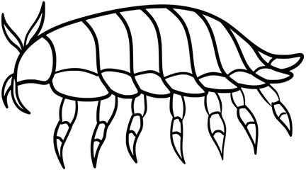 Giant Isopod Vector Outline Line Art Illustration