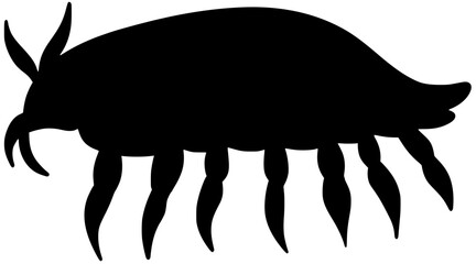Giant Isopod Silhouette Vector Sea Bug Shadow Illustration