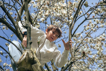 Young caucasian male climbing tree in blooming garden