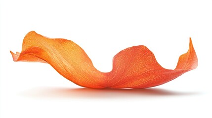 A single, translucent, orange petal, delicately curved and undulating, floats against a stark white background, casting a subtle shadow.  Its veined texture is clearly visible