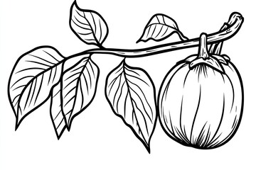Detailed illustration of a fruit on a branch with leaves.