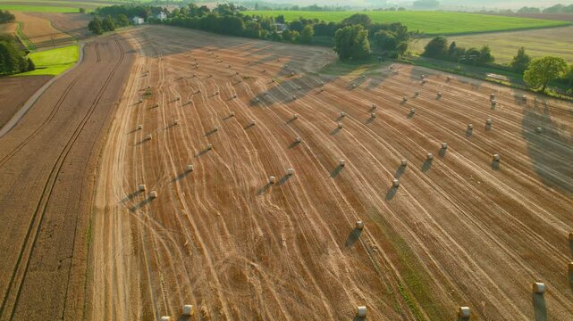 Aerial view of a sunlit field with hay bales scattered across harvested golden rows creating natural patterns.