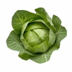 Fototapeta premium Fresh green cabbage with vibrant leaves, perfect for healthy meals and recipes.