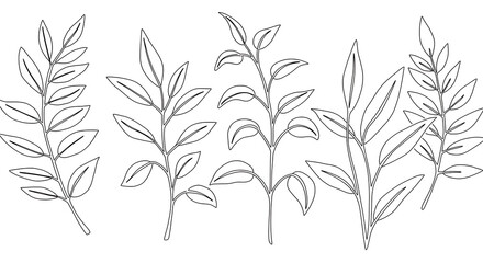 Elegant Line Art Botanical Illustration Five Minimalist Leaf Branches Nature Design Elements
