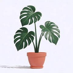 Obraz premium Stylized illustration of a monstera deliciosa plant in a coral colored terracotta pot
