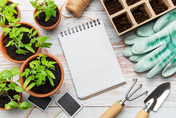 Gardening tools, seedlings and blank notebook on white wooden table
