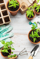 Gardening tools, terracotta pots, seedlings and peat pots forming a frame on a wooden surface