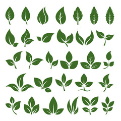 Collection of 30 Green Leaf Icons and Symbols Nature, Ecology, and Spring Designs for Logos, Websites,