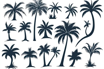Variety of palm tree silhouettes.